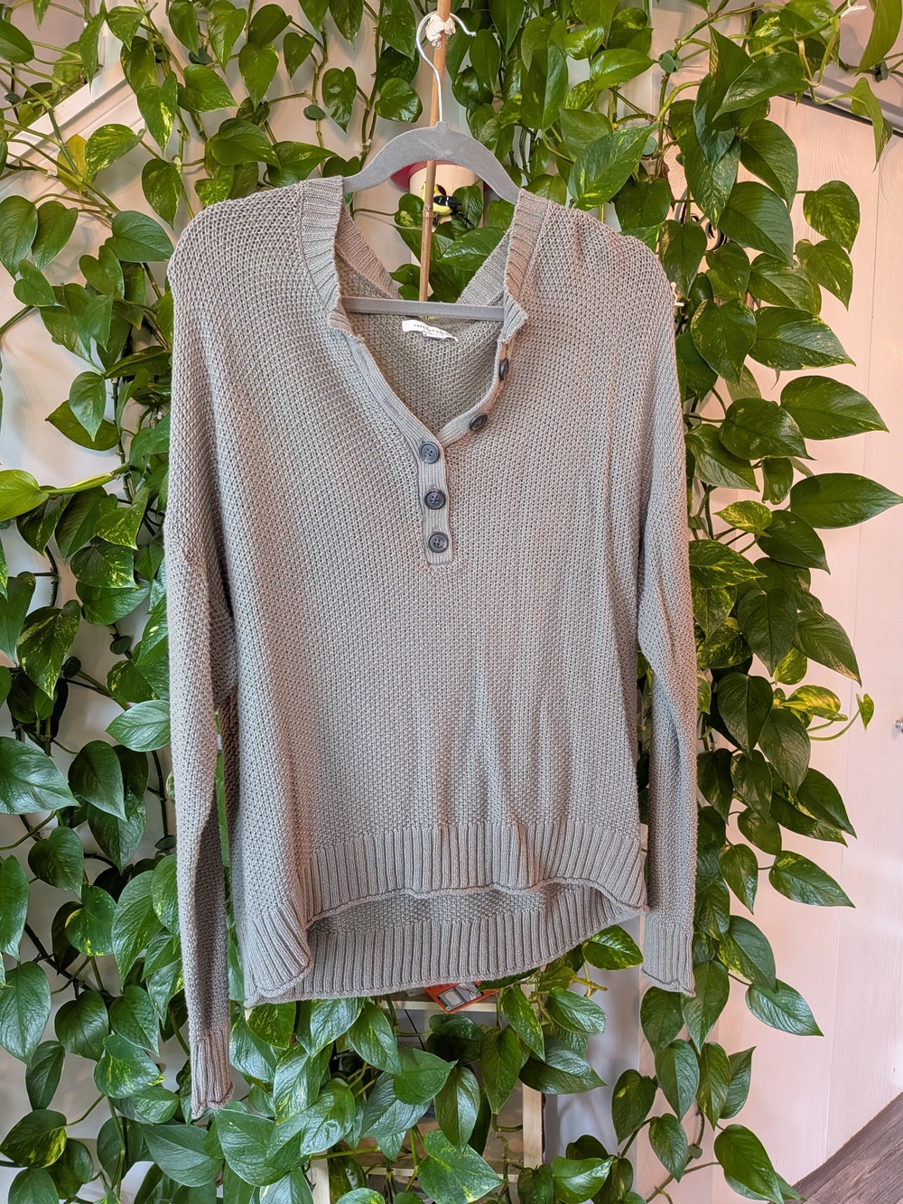 American Eagle Outfitters Light Gray/Green Henley Knit V-Neck Sweater